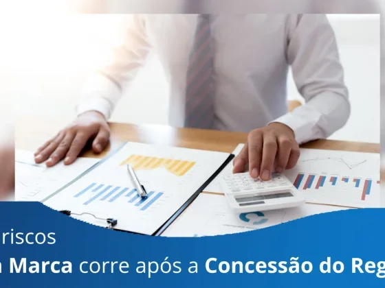 Quais riscos minha Marca corre após a concessão do Registro?